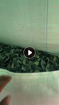 长期出售PP汽车内饰破碎料，现货一挂  