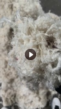 出售除尘布袋开的涤纶开花料，白色涤纶开花料，货在山东聊城