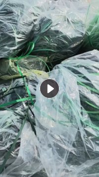 出售pet打包带，现货8吨货 