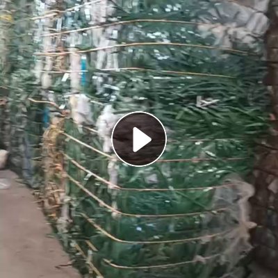 长期出售PET打包带废料，PET打包带毛料