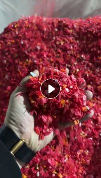 长期出售PE瓶盖破碎料，红蓝白透明都有，可直接上机造粒，拉丝，月供600吨左右