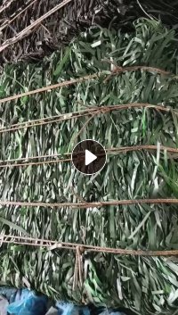 长期出售PET打包带，不带扣子，月供量大概13吨