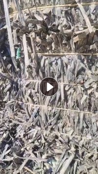 出售滴灌带压块， 90%以上都是贴片的，出成最低七个料，现货一挂