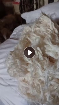 长期出售纯棉布边纱，量大