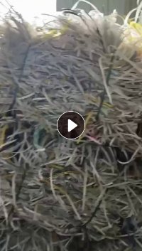 出售PP打包带，现货十一二吨，乳白和透明占比一半一半