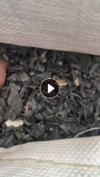 电瓶壳清水沉PP月供量1000吨