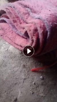 出售毛毡布，羊毛下料加两层无纺布，有保温，阻燃效果，货在河北保定