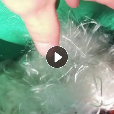 出售化纤厂下来的涤纶废丝，涤纶水丝