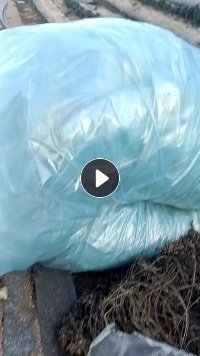 出售拆解的大棚膜，量大