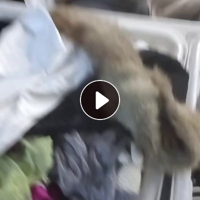 长期大量出售旧毛衣，毛衣分拣货，纯毛衣