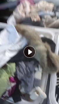 长期大量出售旧毛衣，毛衣分拣货，纯毛衣