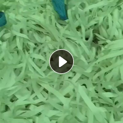 长期出售白色淋膜纸，本色淋膜纸