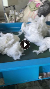长期回收丝棉古棉,开花用