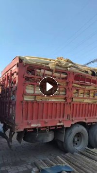 出售二手地毯,工地保护地毯,货在河北廊坊