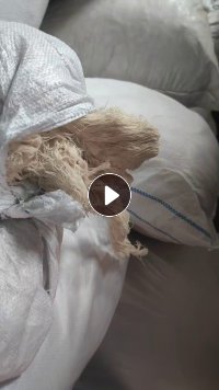 长期出售纯棉纱回丝,每月三五十吨