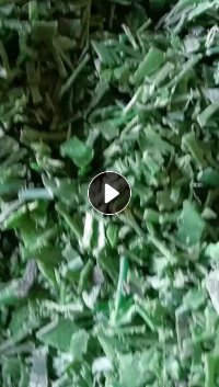 出售水洗PET打包带破碎料，现货一挂车