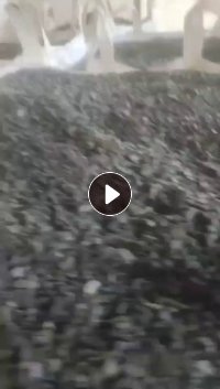 长期出售pp水果筐破碎料,颜色黑蓝白,现货够车