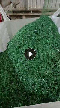 出售水破绿色PET打包带破碎料，三天一挂车