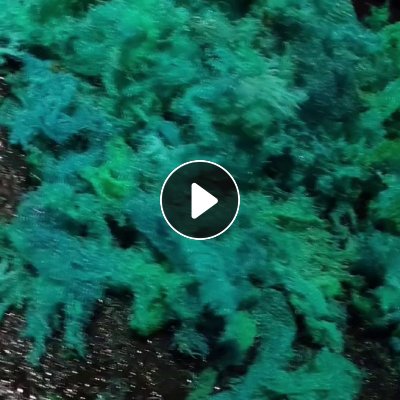 出售破碎清洗pet聚酯安全网