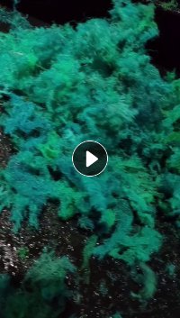 出售破碎清洗pet聚酯安全网