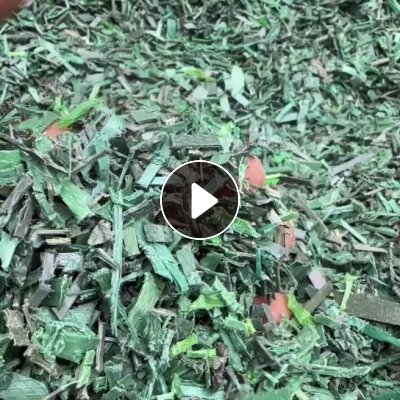 出售PET打包带干粉料