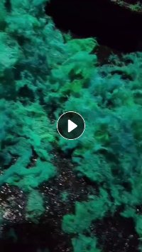 出售PET安全网破碎料，水洗的，水分5-10，月供150吨，山东枣庄