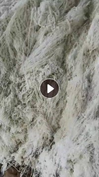 出售涤纶水丝，涤纶废丝，涤纶丝，货在浙江湖州