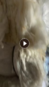 长期大量出售气流纺下来的纺纱下脚料,涤纶丝,回丝,包芯纱