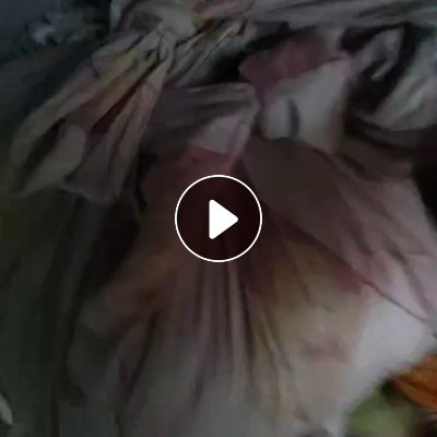 长期出售旧衣服大白，旧衣服，大白开花料