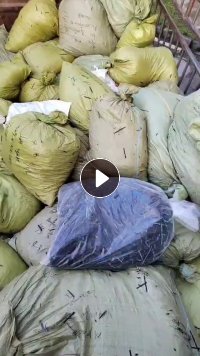 出售黑色尼龙扎带毛料，现货十几吨