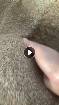 出售PVC秧盘磨粉料，过26目