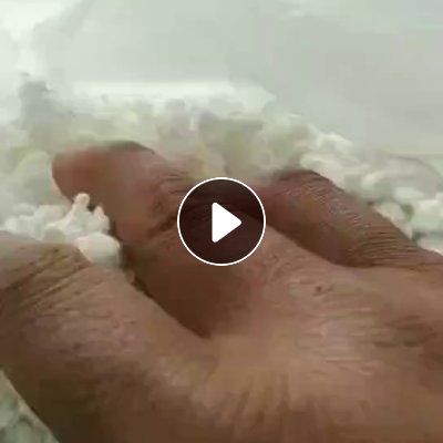 出售涤棉毛毛料，磨毛料，现货500吨