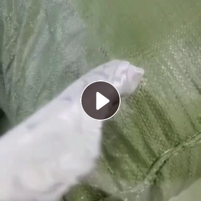 长期出售白色的氨纶废布，氨纶边角料，氨纶碎布，现货四五吨