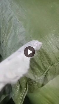 长期出售白色的氨纶废布，氨纶边角料，氨纶碎布，现货四五吨