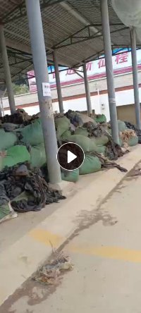 大量出售废旧地膜