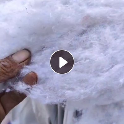 长期大量出售开送好的丝绵，再生棉，大白丝绵，漂白丝绵，二白丝绵