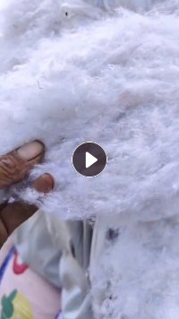 长期大量出售开送好的丝绵，再生棉，大白丝绵，漂白丝绵，二白丝绵