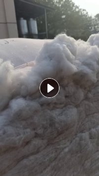 长期出售开松好的棉花，大白棉，可以纺纱用，月供100吨