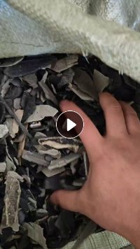 出售汽车内饰破碎料，保险杠破碎料，清洗甩干除铁，现货48吨