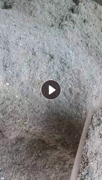 出售pe薄膜毛毛虫颗粒，月供100吨