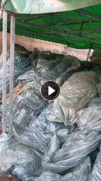 长期出售西瓜棚膜，大棚膜废料