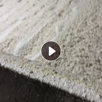 大量出售高白木浆，白度80，干度32/33，厂家直销