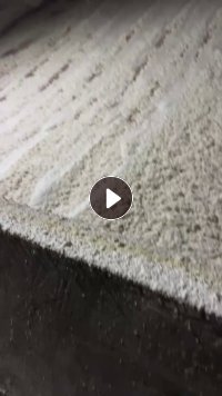 大量出售高白木浆,白度80,干度32/33,厂家直销