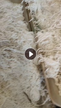 出售脱完水挑干净的的涤纶废丝，涤纶水丝，现货20多吨