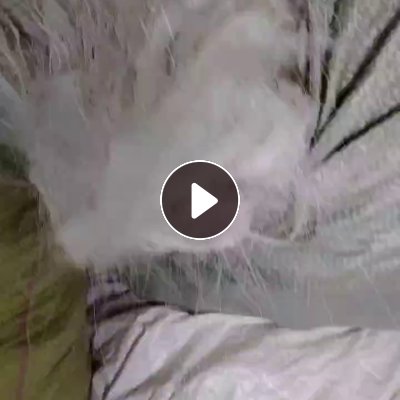 长期出售丙纶废丝，丙纶丝，月供60吨左右