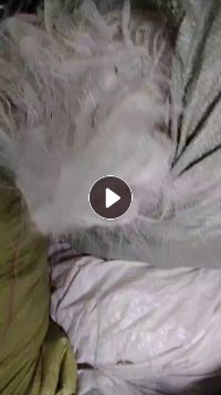 长期出售丙纶废丝，丙纶丝，月供60吨左右