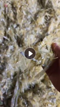 厂家出售纸厂废料，迷信纸淋膜纸下来的塑料皮，现货一挂车，一吨50元左右