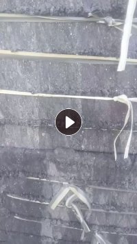 长期出售pvc革吹出来的毛毛料，过几天会有13米一车