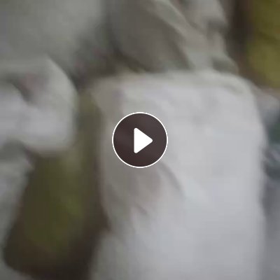 长期出售旧衣服，旧衣服统货，月供几十吨，厂在河南商丘