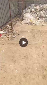 出售餐盒/ 饭盒/透明丙压块，长期供货